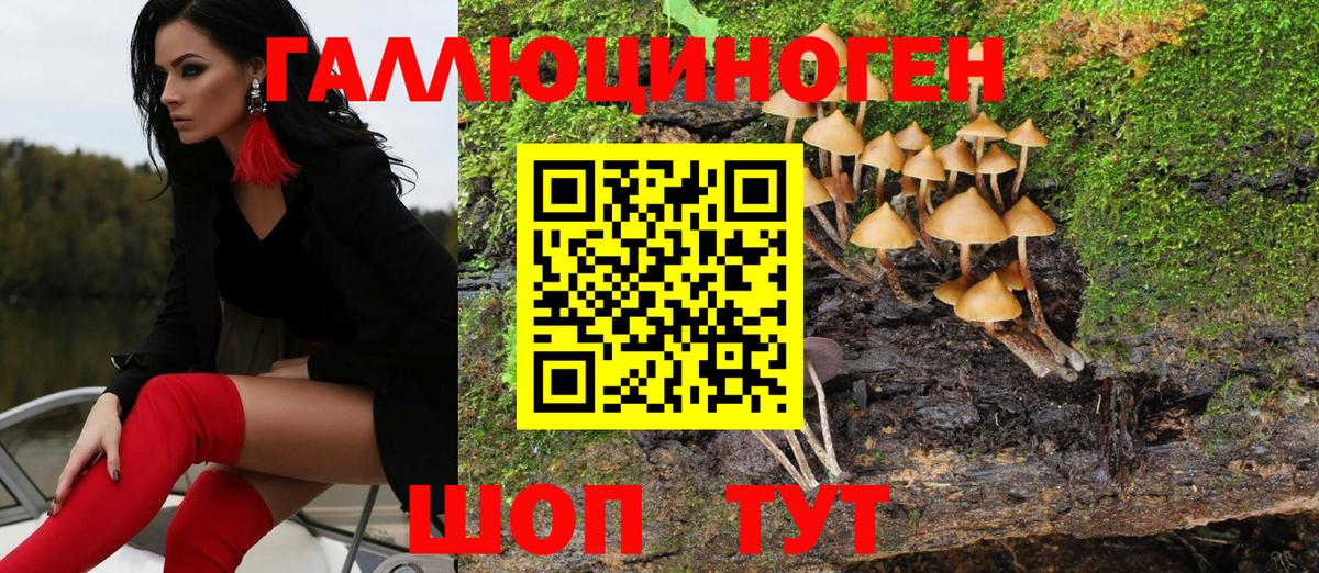 Псилоцибиновые грибы мухоморы Кулебаки