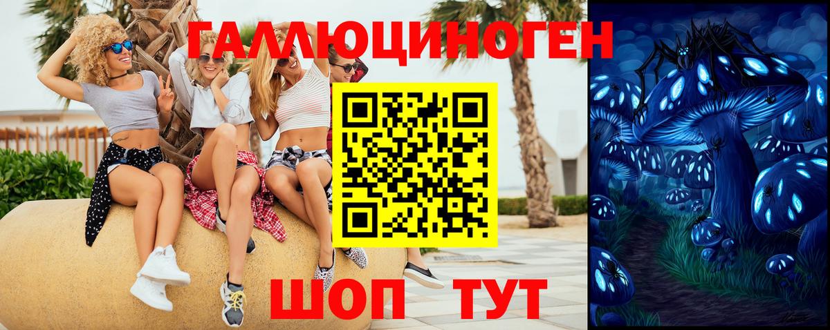 Меф   Гашиш  Кулебаки  Вход с VPN  COCAIN 