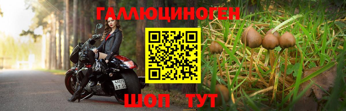Галлюциногенные грибы прущие грибы  Вход с VPN  Кулебаки 